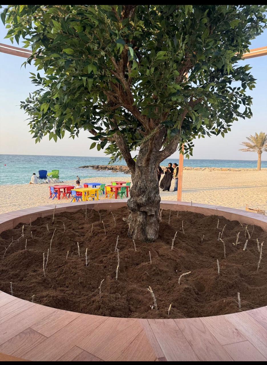 EPAA Sharjah — Al Hamaryia Beach - 3